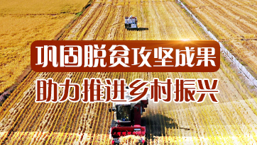 鞏固脫貧攻堅成果助力推進鄉村振興